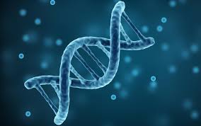 dna dna